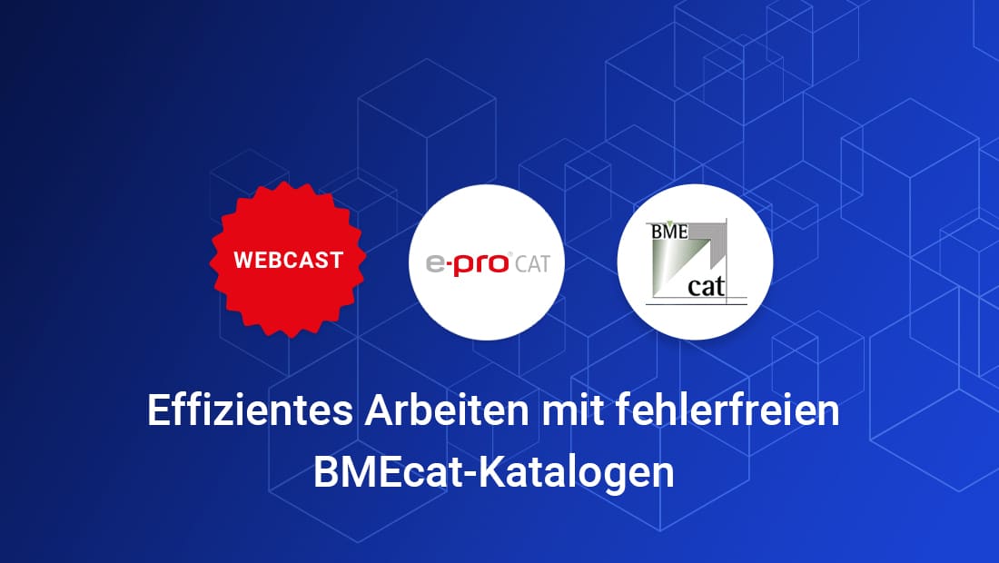 Webcast-Effizientes Arbeiten mit fehlerfreien Katalogen